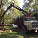 WM Tree Service - Tree Service