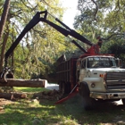 WM Tree Service