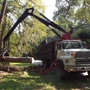 WM Tree Service