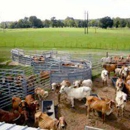 Lonestar Livestock Equipment Company Inc - Livestock Equipment & Supplies