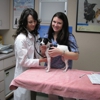 VCA All Our Pets Animal Hospital gallery