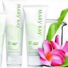 Mary Kay Cosmetics Independent Beauty Consultant (Denise K Norris)