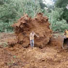 Ashley Collier Excavating