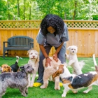 Trinity Animal Hospital
