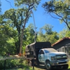 Tim's Tree Service gallery