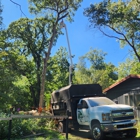 Tim's Tree Service