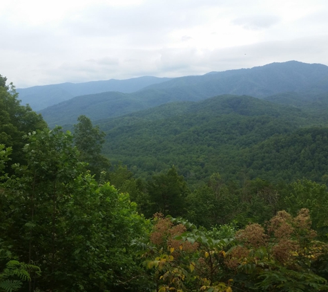 Crazy Irish Tree Service - Sevierville, TN