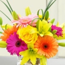 Beneva Flowers & Plantscapes - Wholesale Plants & Flowers