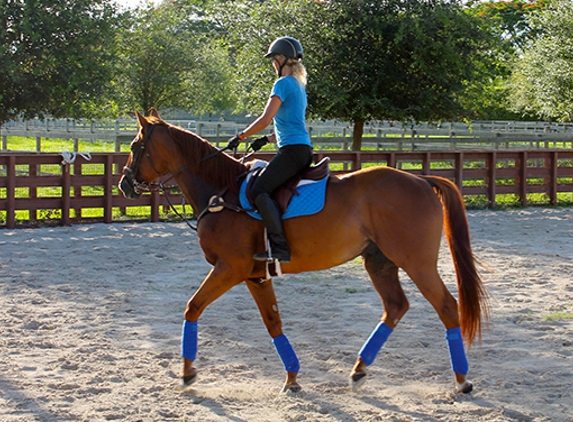 Star Stables Miami - Miami, FL