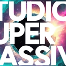 Studio Supermassive LLC - Web Site Design & Services