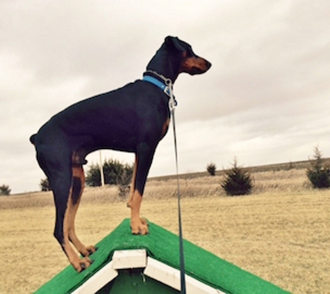 Ledges Farm Dog Camp - Boone, IA