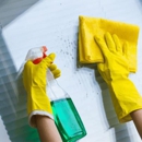 Burgos Cleaning Service - House Cleaning