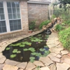 Texas Aquariums & Ponds Inc gallery