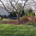 Carter's Lawn & Yard Services