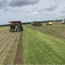 Grandview Farms (Sod Farm & Services) - Sod & Sodding Service