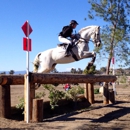 Kingsway Farm - Horse Training