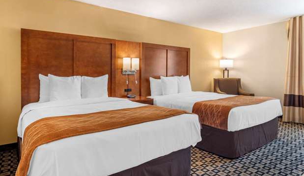 Comfort Inn & Suites - Athens, GA