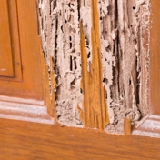 Gallery Image Number 6