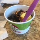 The Skinny Dip Frozen Yogurt Bar - Ice Cream & Frozen Desserts