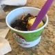 The Skinny Dip Frozen Yogurt Bar