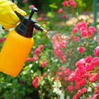 Robert Thieling Landscaping