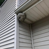 Patton Pest Control gallery