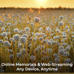 France Family Funerals - Nelson Bay, NSW. Online Memorials & Web‑Streaming Any Device, Anytime