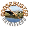 Goosebuster Retrievers gallery