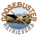 Goosebuster Retrievers - Dog Training