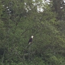 Eagle Beach - Picnic Grounds