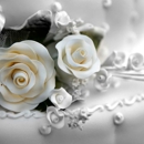 Diamondz & Pearlz Planning - Wedding Planning & Consultants