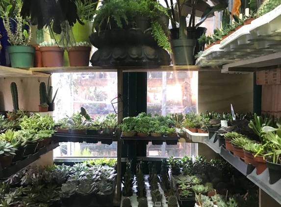 East Village Florist - New York, NY