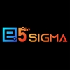 E5 Sigma Repair gallery
