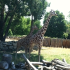 Zoo Boise