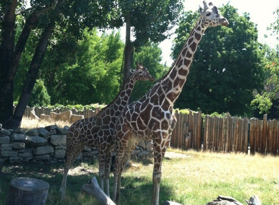 Zoo Boise - Boise, ID