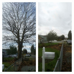 At the top tree service llc - Deming, WA