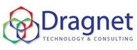 Dragnet Technology & Consulting