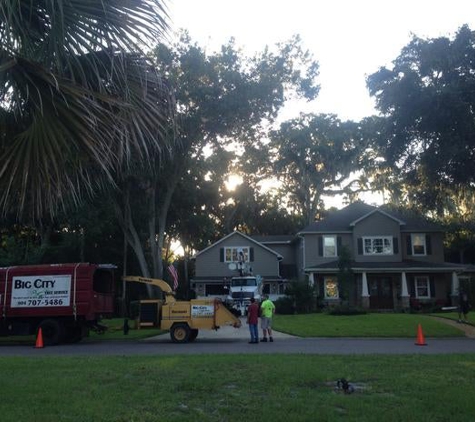 Big City Tree Service, Inc. - Jacksonville Beach, FL