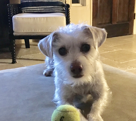 Pacific Coast Pet Care - Carlsbad, CA. Miss Riley
Thank you Vernie!����