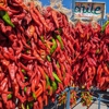 Farmers Chile Market gallery