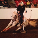 Obenour Equine Center - Horse Boarding