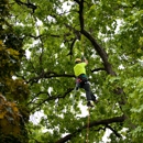 Arbor Care Of The Fox Valley LLC - Arborists