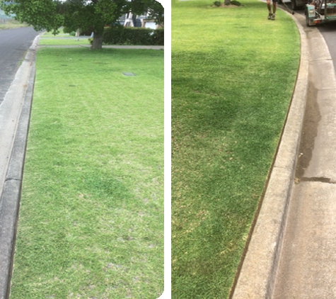 Oasis Lawns & Gardens