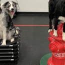 The Dog Wizard Nashville - Dog Training