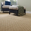 Pro Carpet Cleaners gallery