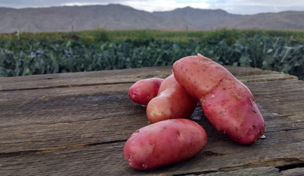 FarmTableWest - Cody, WY. Scott's Fingerling Potatoes