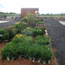 Avondale Gardens llc - Farms