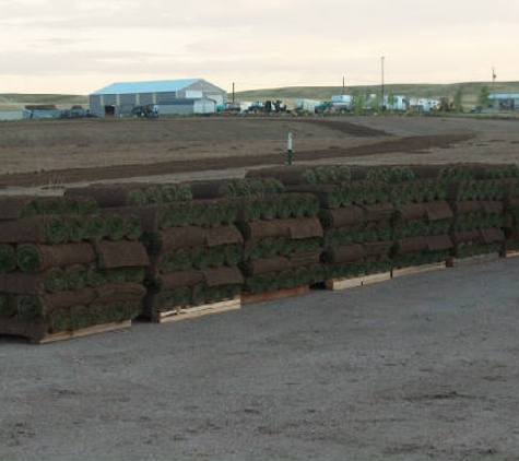 Blue Ribbon Sod - Cheyenne, WY