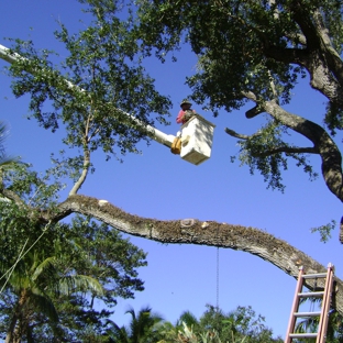 Central Florida Tree Service - Apopka, FL