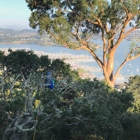 All Seasons Tree Care, Inc.
